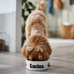 Frisco Personalized Two Hearts Ceramic Dog Bowl -Frisco Sales Store 287020 PT4. AC SS1800 V1639518091