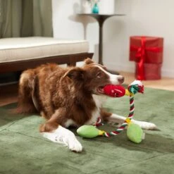 Frisco Holiday Lights Plush With Rope Squeaky Dog Toy 2 Frisco Holiday Lights Plush With Rope Squeaky Dog Toy -Frisco Sales Store 287109 PT3. AC SS1800 V1632775707