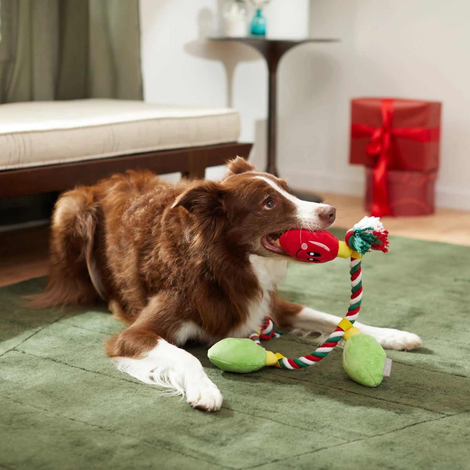 Frisco Holiday Lights Plush with Rope Squeaky Dog Toy Frisco Holiday Lights Plush With Rope Squeaky Dog Toy -Frisco Sales Store 287109 PT3. AC SS1800 V1632775707