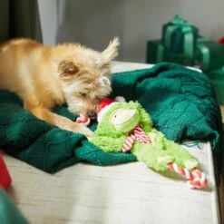 Frisco Holiday Monkey Plush With Rope Squeaky Dog Toy -Frisco Sales Store 287115 PT3. AC SS1800 V1632774182