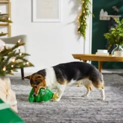 Frisco Holiday Tree Thin Plush Squeaky Dog Toy 2 Frisco Holiday Tree Thin Plush Squeaky Dog Toy -Frisco Sales Store 287167 PT3. AC SS1800 V1632773873