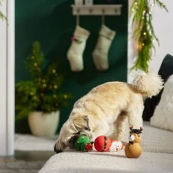 Frisco Holiday Santa & Friends Latex Squeaky Dog Toy -Frisco Sales Store 287181 PT3. AC SS1800 V1632775363