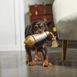 Frisco Firework Plush With Rope Squeaky Dog Toy -Frisco Sales Store 288480 PT3. AC SS1800 V1638291301