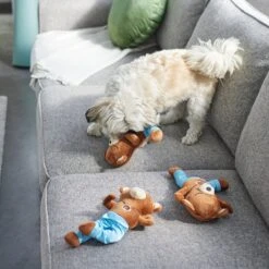 Frisco New Year, New Me Namaste Bear Plush Squeaky Dog Toy -Frisco Sales Store 288905 PT3. AC SS1800 V1638291398