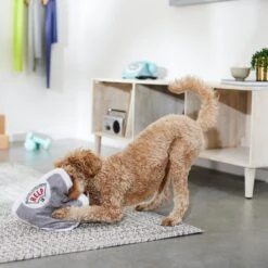 Frisco Scale Plush Squeaky Dog Toy 2 Frisco Scale Plush Squeaky Dog Toy -Frisco Sales Store 288911 PT3. AC SS1800 V1638289585