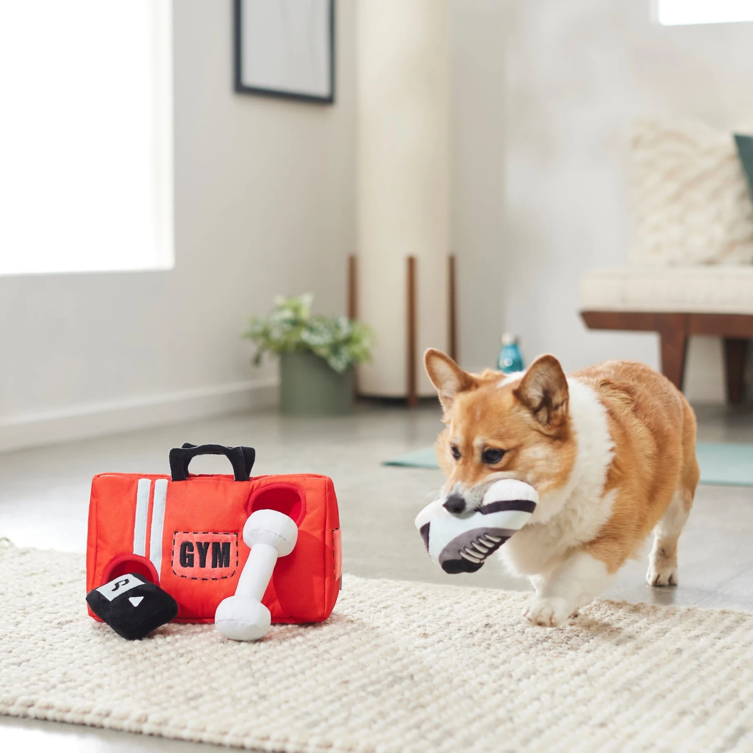 Frisco Gym Bag Hide & Seek Puzzle Plush Squeaky Dog Toy Frisco Gym Bag Hide & Seek Puzzle Plush Squeaky Dog Toy -Frisco Sales Store 288913 PT3. AC SS1800 V1638289728