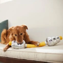 Frisco Weight Bar Wagazoo Plush Squeaky Dog Toy 2 Frisco Weight Bar Wagazoo Plush Squeaky Dog Toy -Frisco Sales Store 288917 PT3. AC SS1800 V1638292413