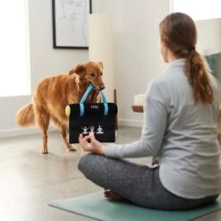 Frisco Yoga Mat Plush Squeaky Dog Toy -Frisco Sales Store 288923 PT3. AC SS1800 V1638290551