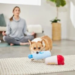 Frisco Protein & Water Bottle Cruncher Dog Toy -Frisco Sales Store 288927 PT3. AC SS1800 V1638291847