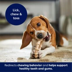 Frisco Ring Tough Nylon Chew Dog Toy, Chicken Flavor -Frisco Sales Store 290533 PT4. AC SS1800 V1695760990