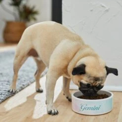 Frisco Watercolors Ceramic Personalized Dog Bowl 2 Frisco Watercolors Ceramic Personalized Dog Bowl -Frisco Sales Store 296664 PT2. AC SS1800 V1625764663