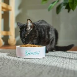 Frisco Watercolors Ceramic Personalized Dog Bowl 3 Frisco Watercolors Ceramic Personalized Dog Bowl -Frisco Sales Store 296664 PT3. AC SS1800 V1625764646