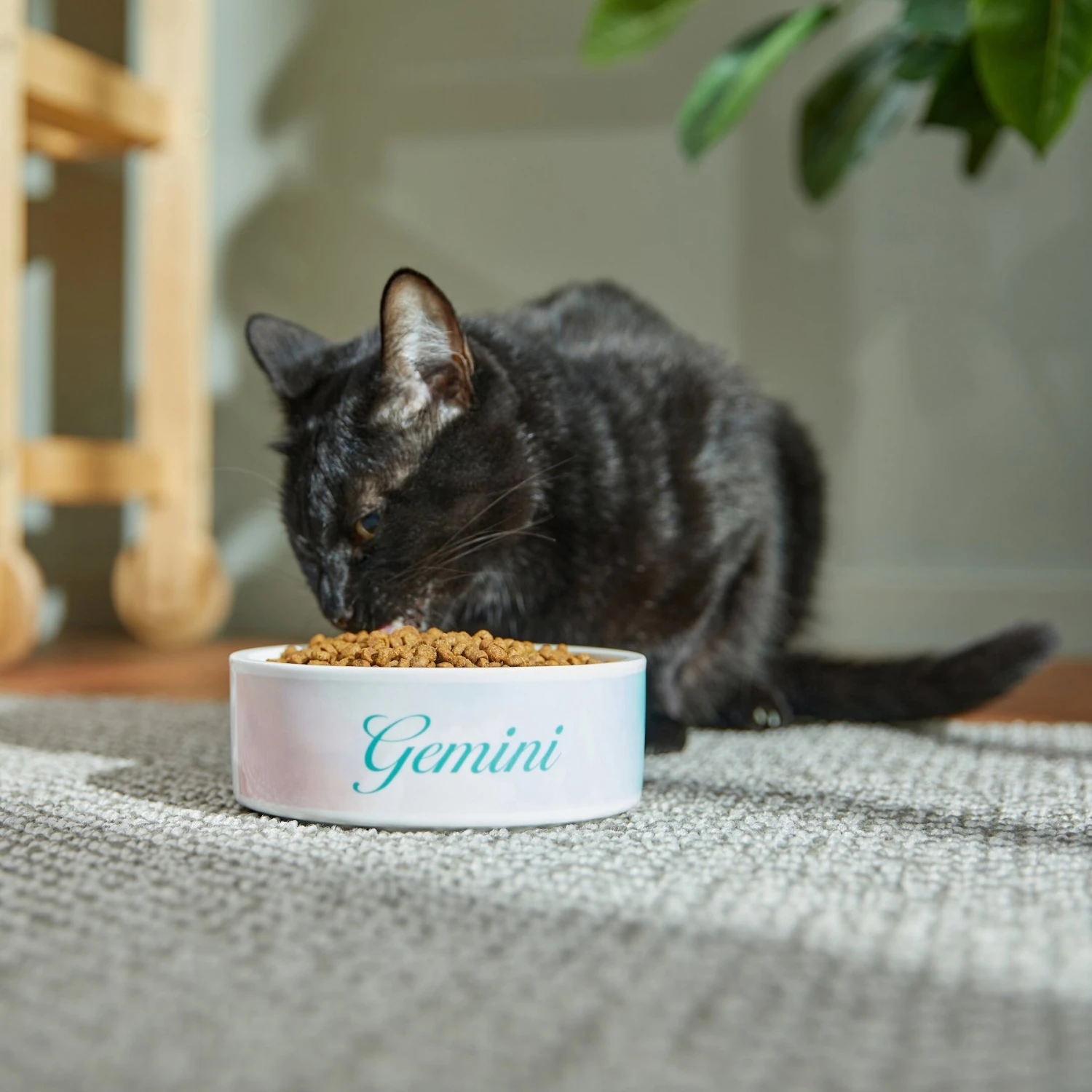 Frisco Watercolors Ceramic Personalized Dog Bowl Frisco Watercolors Ceramic Personalized Dog Bowl -Frisco Sales Store 296664 PT3. AC SS1800 V1625764646