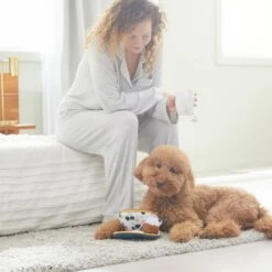 Frisco Brunch Teacup Plush Squeaky Dog Toy -Frisco Sales Store 297232 PT3. AC SS1800 V1642087957