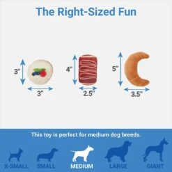 Frisco Brunch Pastry Plate Plush Squeaky Dog Toy -Frisco Sales Store 297262 PT2. AC SS1800 V1643916710