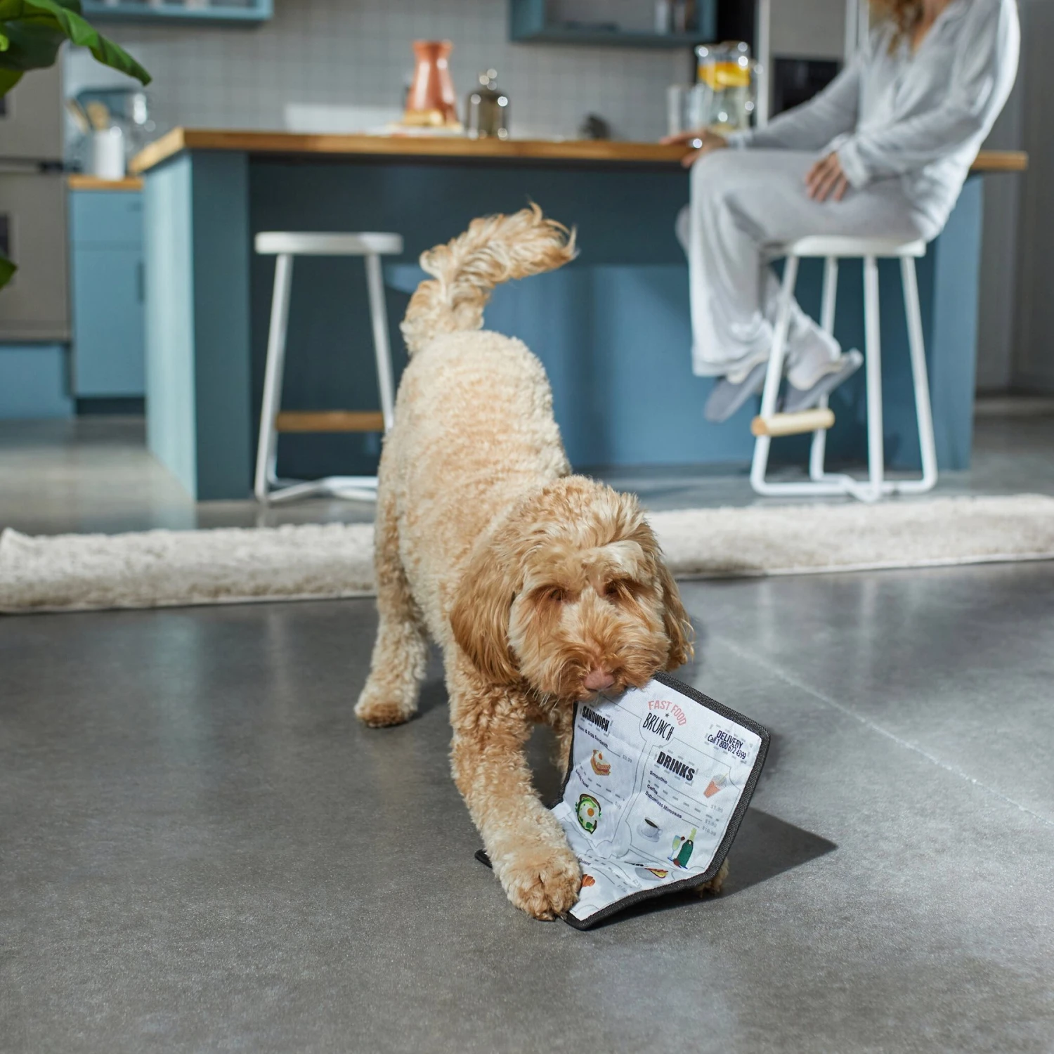 Frisco Brunch Menu Ballistic Nylon Flat Plush Squeaky Dog Toy Frisco Brunch Menu Ballistic Nylon Flat Plush Squeaky Dog Toy -Frisco Sales Store 297276 PT2. AC SS1800 V1642088788