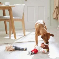 Frisco Brunch Chef & Waitress Plush Squeaky Dog Toy, 2 Count -Frisco Sales Store 297278 PT2. AC SS1800 V1642088629