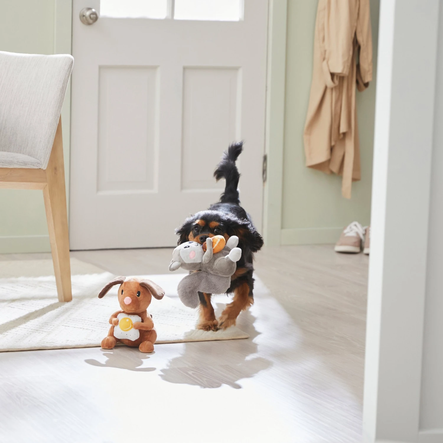 Frisco Brunch Flying Breakfast Critters Plush Squeaky Dog Toy Frisco Brunch Flying Breakfast Critters Plush Squeaky Dog Toy -Frisco Sales Store 297280 PT2. AC SS1800 V1642088192