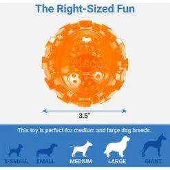 Frisco Fetch Squeaky TPR Ball Dog Toy & Bones & Chews Pig Ear Chews Dog Treats -Frisco Sales Store 297964 PT2. AC SS1800 V1623255143