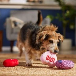 Frisco Valentine Hearts Plush Squeaky Dog Toy -Frisco Sales Store 298919 PT3. AC SS1800 V1701365170