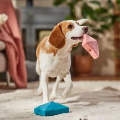 Frisco Valentine Love Letters Latex Squeaky Dog Toy 2 Frisco Valentine Love Letters Latex Squeaky Dog Toy -Frisco Sales Store 298925 PT3. AC SS1800 V1701365173