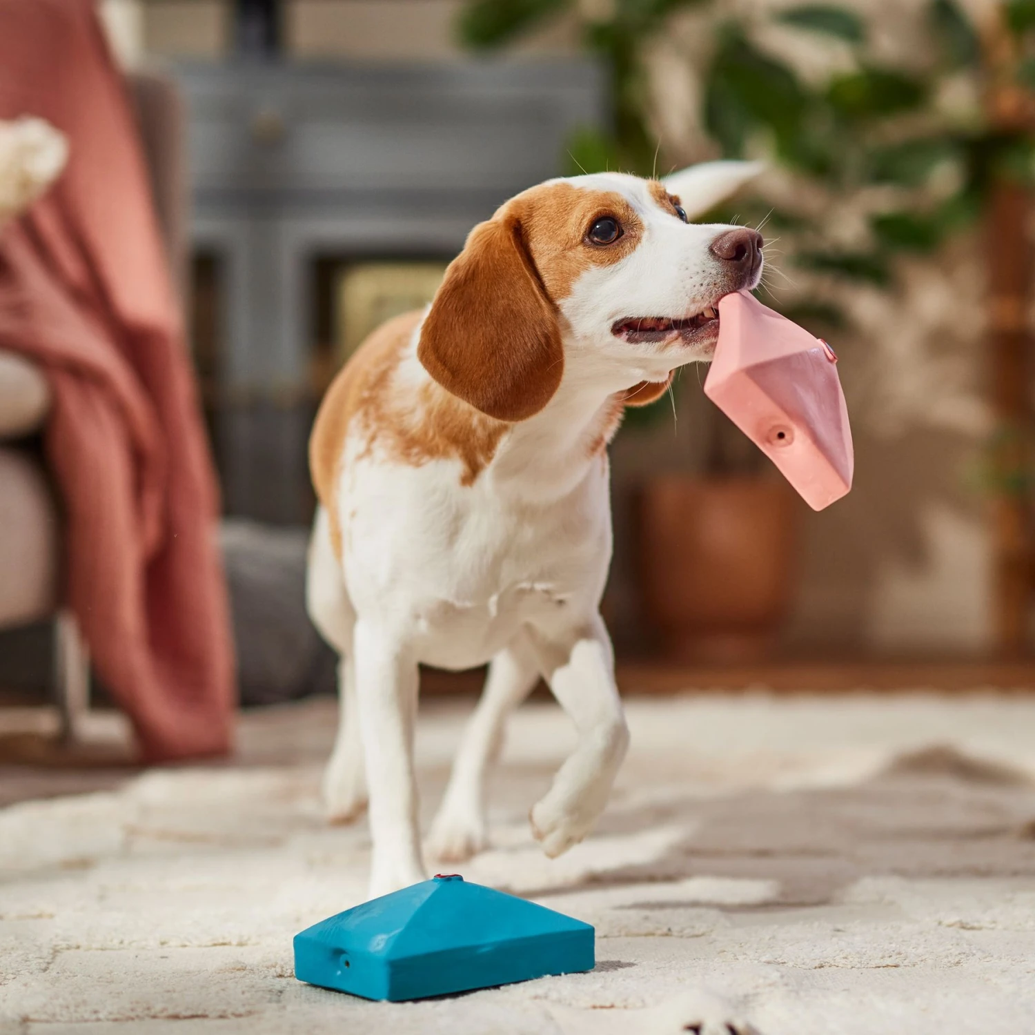 Frisco Valentine Love Letters Latex Squeaky Dog Toy Frisco Valentine Love Letters Latex Squeaky Dog Toy -Frisco Sales Store 298925 PT3. AC SS1800 V1701365173