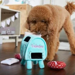 Frisco Valentine Love Letters Hide & Seek Puzzle Plush Squeaky Dog Toy -Frisco Sales Store 298929 PT3. AC SS1800 V1638987486