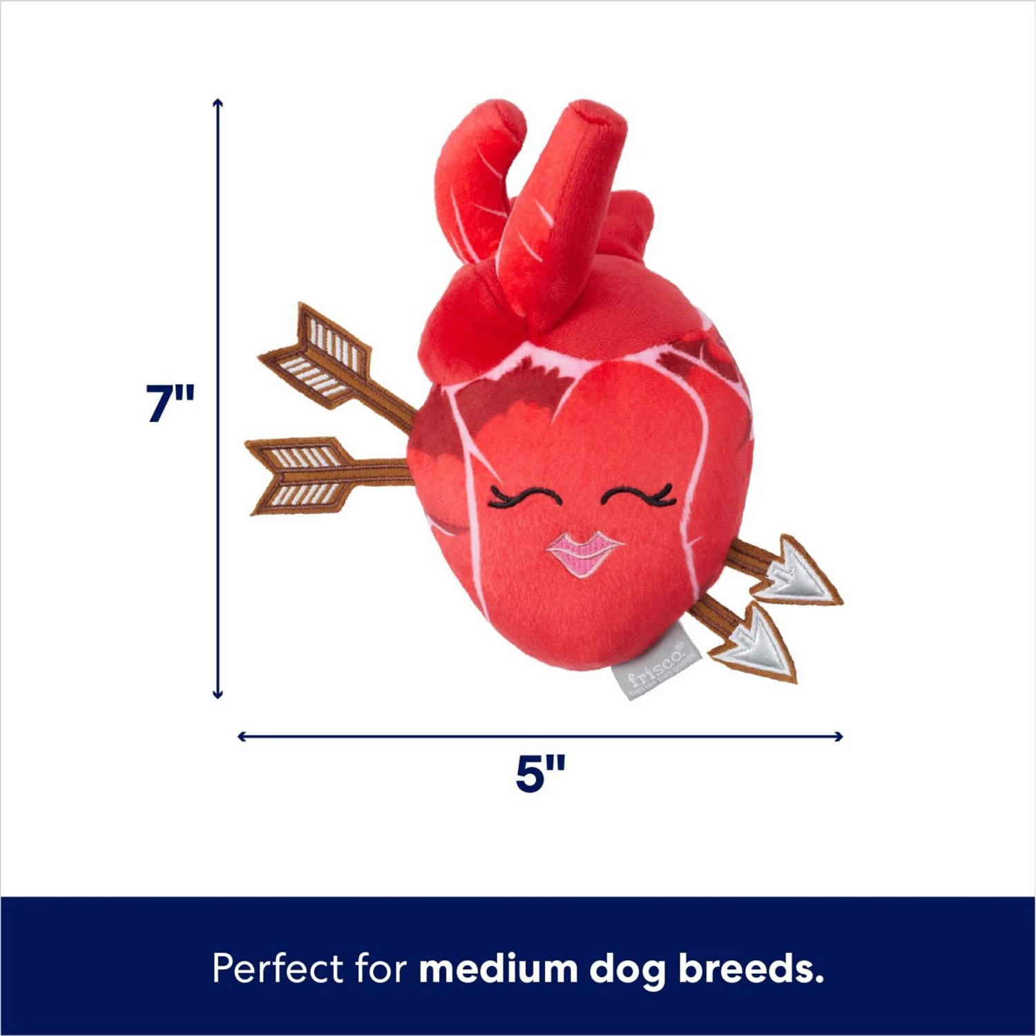 Frisco Valentine Anatomical Heart Plush Squeaky Dog Toy Frisco Valentine Anatomical Heart Plush Squeaky Dog Toy -Frisco Sales Store 298933 PT1. AC SS1800 V1701365188