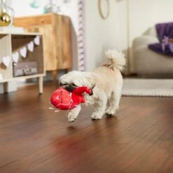 Frisco Valentine Anatomical Heart Plush Squeaky Dog Toy 2 Frisco Valentine Anatomical Heart Plush Squeaky Dog Toy -Frisco Sales Store 298933 PT3. AC SS1800 V1638987632