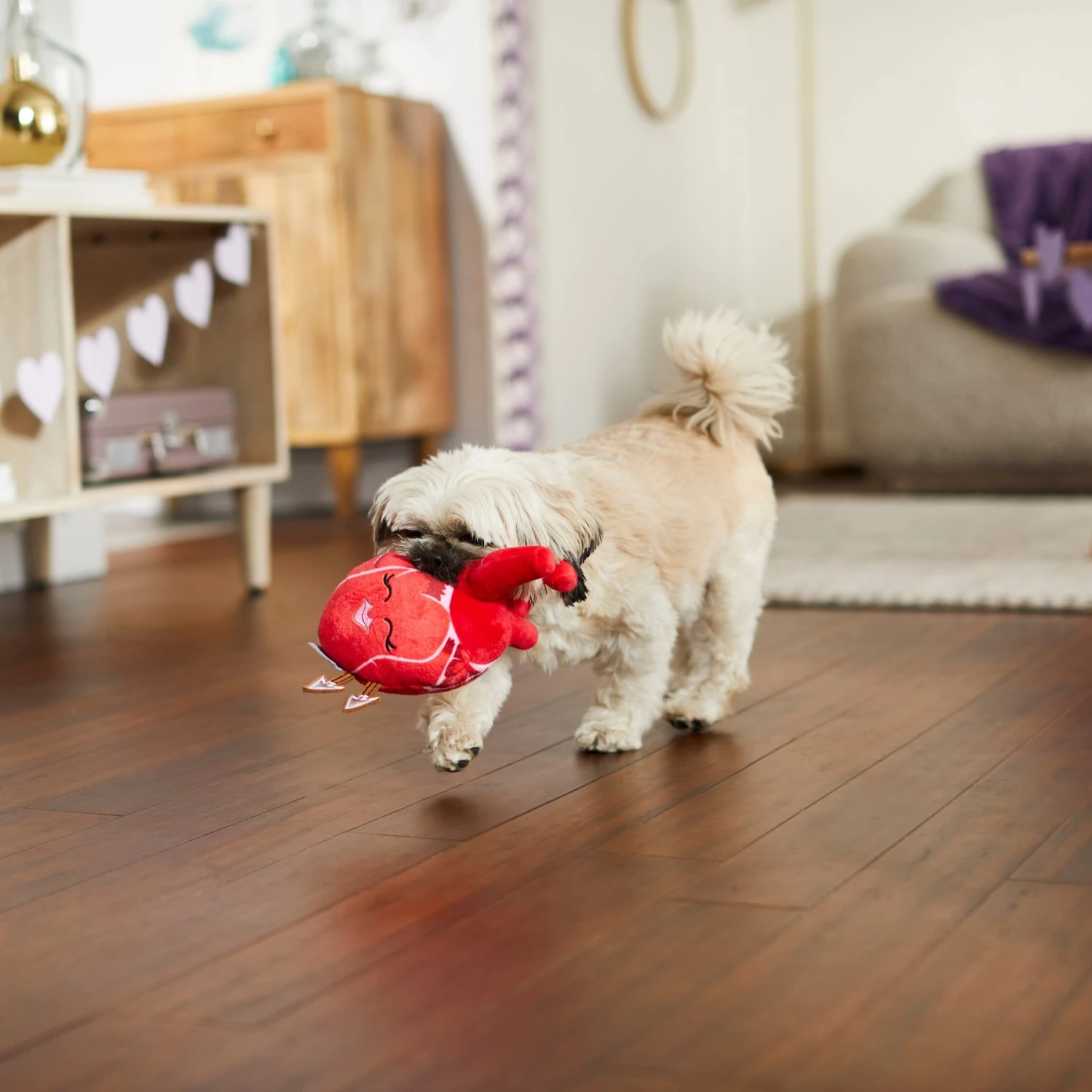 Frisco Valentine Anatomical Heart Plush Squeaky Dog Toy Frisco Valentine Anatomical Heart Plush Squeaky Dog Toy -Frisco Sales Store 298933 PT3. AC SS1800 V1638987632