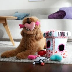 Frisco Valentine Kissing Booth Hide & Seek Puzzle Plush Squeaky Dog Toy -Frisco Sales Store 298943 PT3. AC SS1800 V1638987417