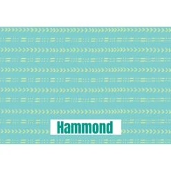 Frisco Mudcloth Personalized Dog & Cat Placemat -Frisco Sales Store 299552 PT2. AC SS1800 V1636048646