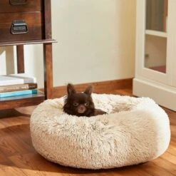 Frisco Eyelash Cat & Dog Bolster Bed & Frisco Eyelash Cat & Dog Bolster Bed -Frisco Sales Store 302450 PT4. AC SS1800 V1623046356