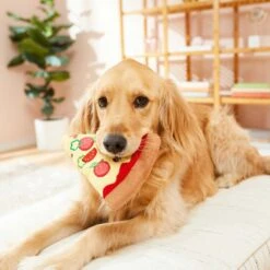 Frisco Pizza Slice Plush Squeaky Dog Toy & Frisco Taco Plush Squeaky Dog Toy -Frisco Sales Store 302494 PT3. AC SS1800 V1623051762