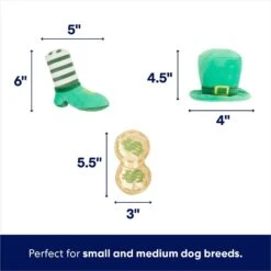 Frisco St. Patrick's Pot Of Gold Hide & Seek Puzzle Plush Squeaky Dog Toy -Frisco Sales Store 303130 PT2. AC SS1800 V1703016817