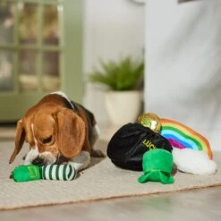 Frisco St. Patrick's Pot Of Gold Hide & Seek Puzzle Plush Squeaky Dog Toy -Frisco Sales Store 303130 PT4. AC SS1800 V1700163009