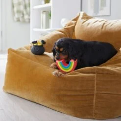 Frisco St. Patrick's Rainbow And Pot Of Gold Latex Squeaky Dog Toy -Frisco Sales Store 303136 PT4. AC SS1800 V1702500566