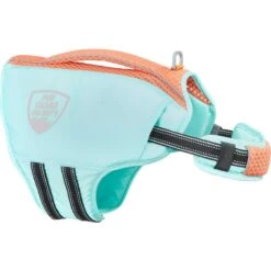 Frisco Active Dog Life Jacket & Frisco Foam Rubber Floating Fetch Ball No Squeak Dog Toy -Frisco Sales Store 303364 PT2. AC SS1800 V1623163059