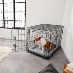 Frisco Fold & Carry Double Door Collapsible Wire Dog Crate & Mat Kit & Frisco Stainless Steel Bowl -Frisco Sales Store 303428 PT4. AC SS1800 V1623089543