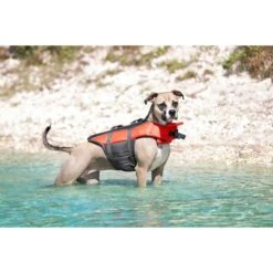Frisco Ripstop Dog Life Jacket & Frisco Foam Rubber Floating Fetch Ball No Squeak Dog Toy -Frisco Sales Store 303546 PT4. AC SS1800 V1623046643