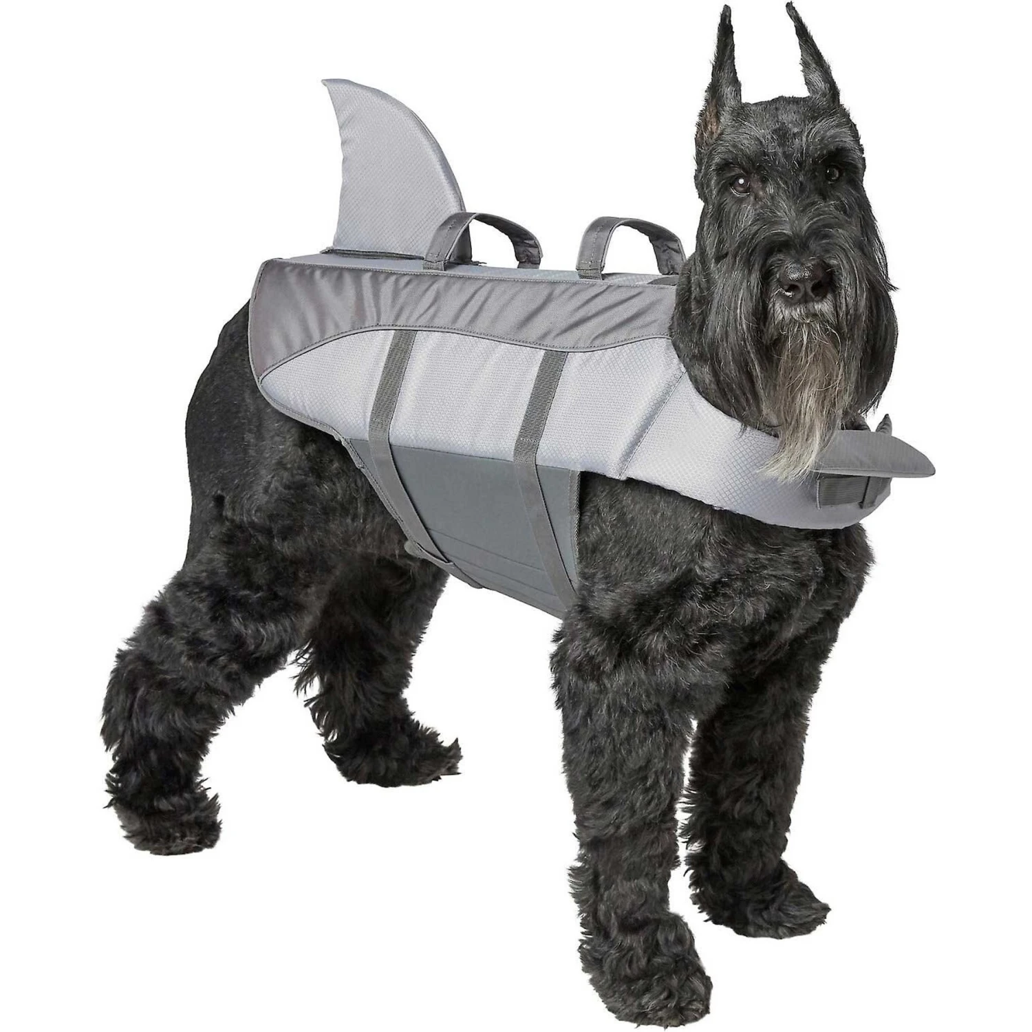 Frisco Shark Dog Life Jacket & Frisco Foam Rubber Floating Fetch Ball No Squeak Dog Toy Frisco Shark Dog Life Jacket & Frisco Foam Rubber Floating Fetch Ball No Squeak Dog Toy -Frisco Sales Store 303590 PT1. AC SS1800 V1623058644