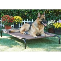 Frisco Replacement Cover For Steel-Framed Elevated Dog Bed & Frisco Steel-Framed Elevated Dog Bed -Frisco Sales Store 303624 PT5. AC SS1800 V1623084445