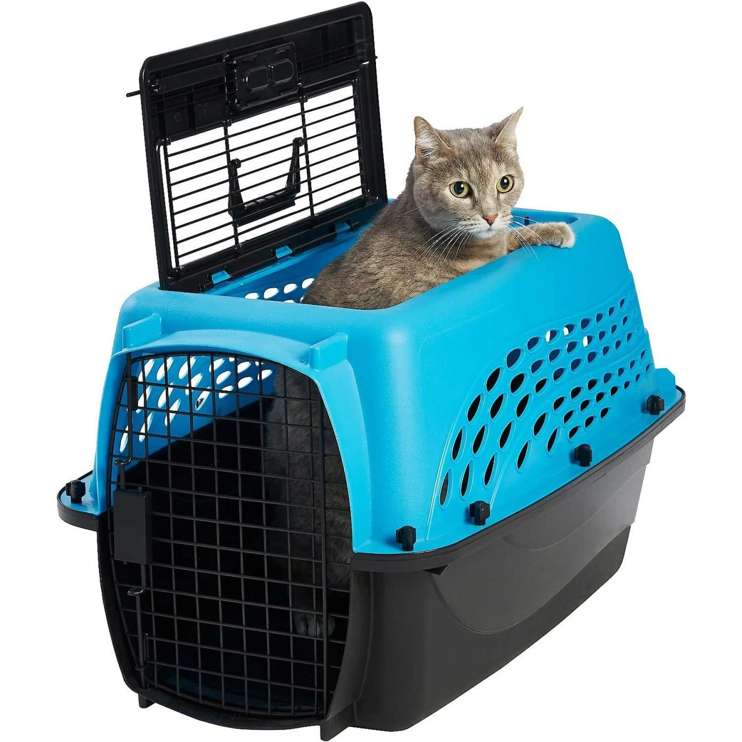 Frisco Two Door Top Load Plastic Dog & Cat Kennel & Frisco Fold & Carry Single Door Collapsible Wire Dog Crate, Pink Frisco Two Door Top Load Plastic Dog & Cat Kennel & Frisco Fold & Carry Single Door Collapsible Wire Dog Crate, Pink -Frisco Sales Store 303656 PT1. AC SS1800 V1623062842