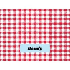 Frisco Personalized Gingham Plaid Soft Fleece Cat & Dog Blanket, 30" X 40" -Frisco Sales Store 304001 PT4. AC SS1800 V1637609279