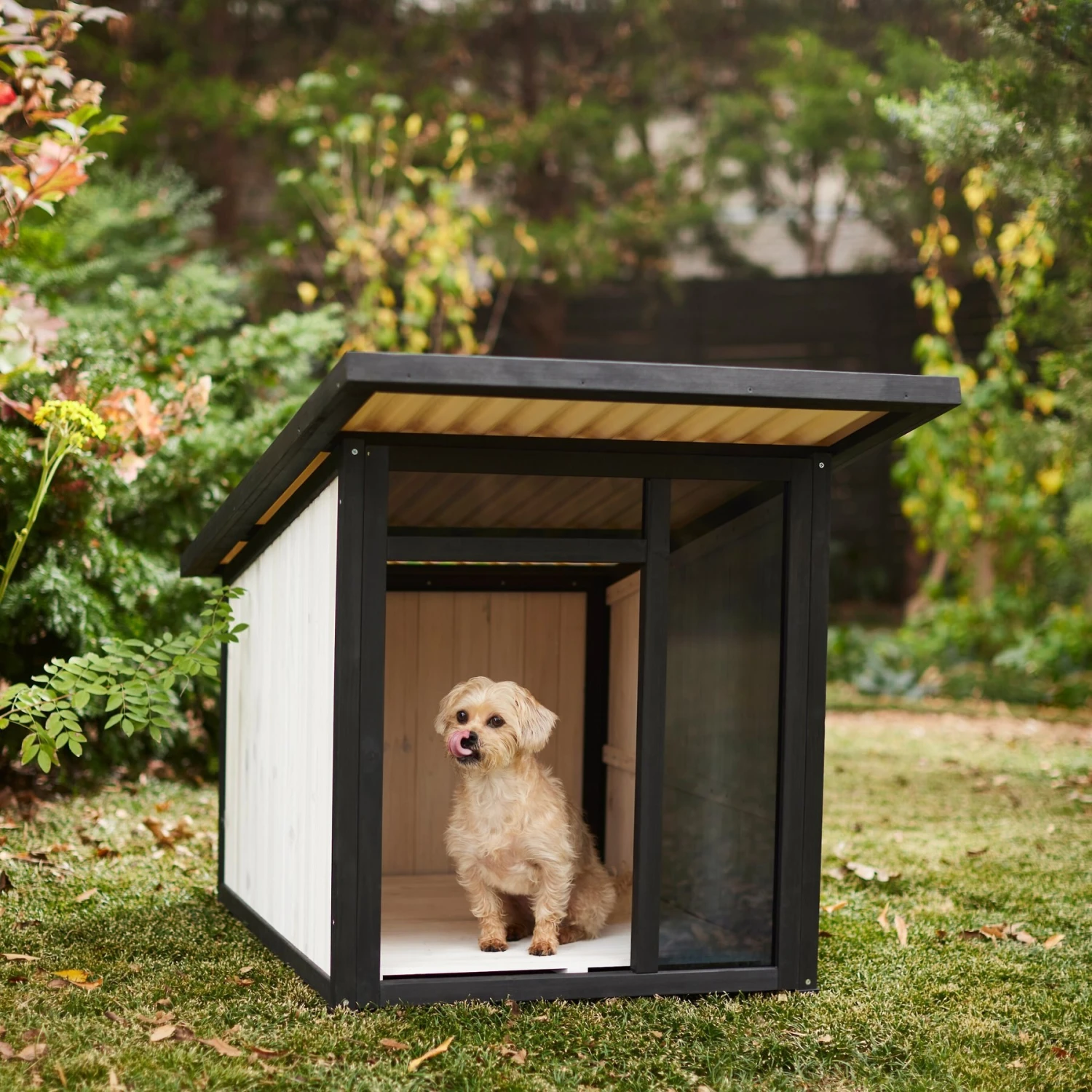 Frisco Modern Wooden Outdoor Dog House, White Frisco Modern Wooden Outdoor Dog House, White -Frisco Sales Store 304038 MAIN. AC SS1800 V1641480742