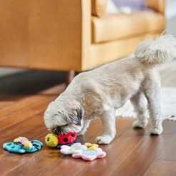 Frisco Spring Pack Plush Squeaky Dog Toy -Frisco Sales Store 304950 PT4. AC SS1800 V1703184715