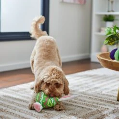 Frisco Easter Bunny Egg Plush Squeaky Dog Toy 3 Frisco Easter Bunny Egg Plush Squeaky Dog Toy -Frisco Sales Store 304960 PT4. AC SS1800 V1702500564