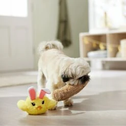 Frisco Easter Chick In Nest 2-in-1 Plush Squeaky Dog Toy 3 Frisco Easter Chick In Nest 2-in-1 Plush Squeaky Dog Toy -Frisco Sales Store 304962 PT4. AC SS1800 V1702500565