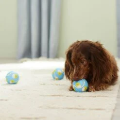 Frisco Easter Fetch Squeaky Tennis Ball Dog Toy, Medium, 3 Count -Frisco Sales Store 304964 PT4. AC SS1800 V1703184745