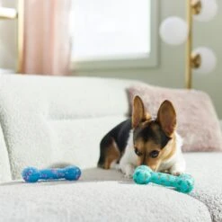 Frisco Easter TPR Bone Squeaky Dog Toy, Medium/Large, 2 Count -Frisco Sales Store 304966 PT4. AC SS1800 V1670608502